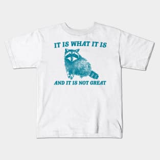 It Is What It Is And It Is Not Great Funny Raccoon Kids T-Shirt